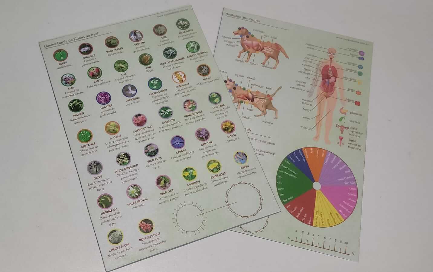 Lâmina dupla de Florais de Bach